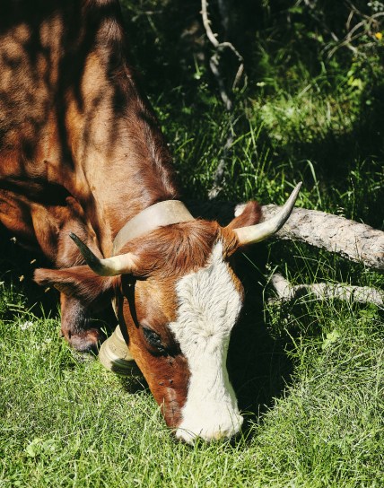 agri home